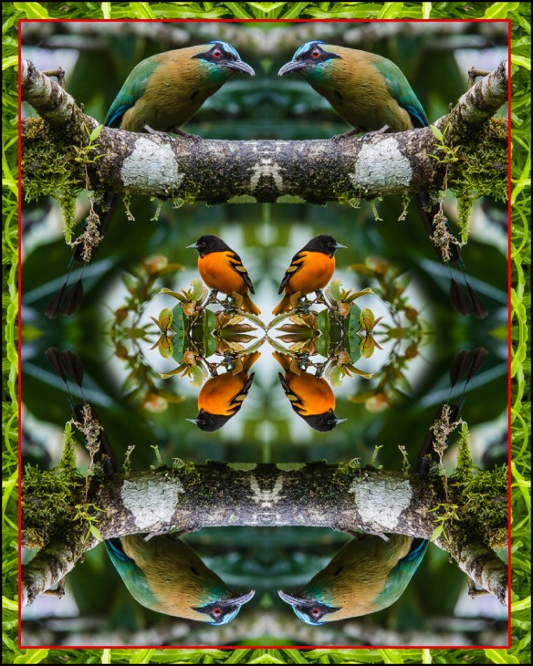 Photo: Copyright by Harry Hull III, used by permission. Mandalagraphs.com