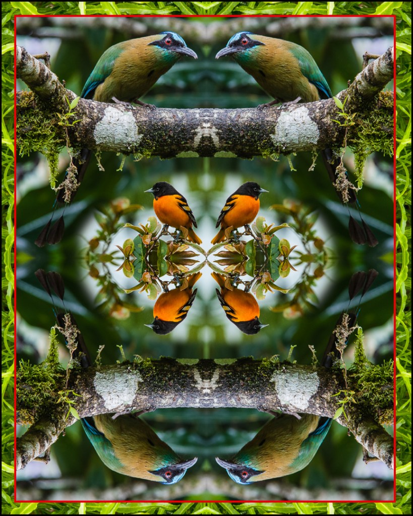 Photo: Copyright by Harry Hull III, used by permission. Mandalagraphs.com