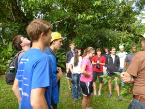 Bethel College students at Finca Cantaros.