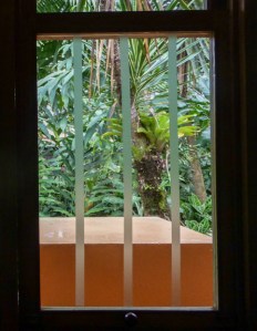 ABC Translucent Window Tape to protect birds. Photo by Alison Olivieri.