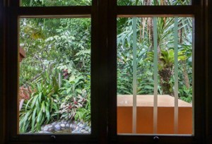 Thin ABC Translucent Tape to protect birds. Photo by Alison Olivieri.