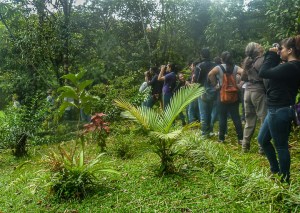 Lush trails at Finca Cantaros. Photo by Barbara Barton.