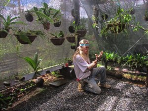 Dave in the Orchid Enclosure (Photo by Pat Morgan)