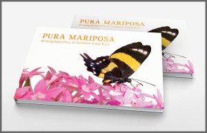 pura-mariposa-book