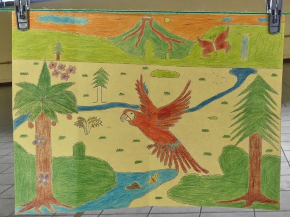 First Place / Primera Lugar